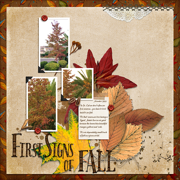 First-Signs-of-Fall-web