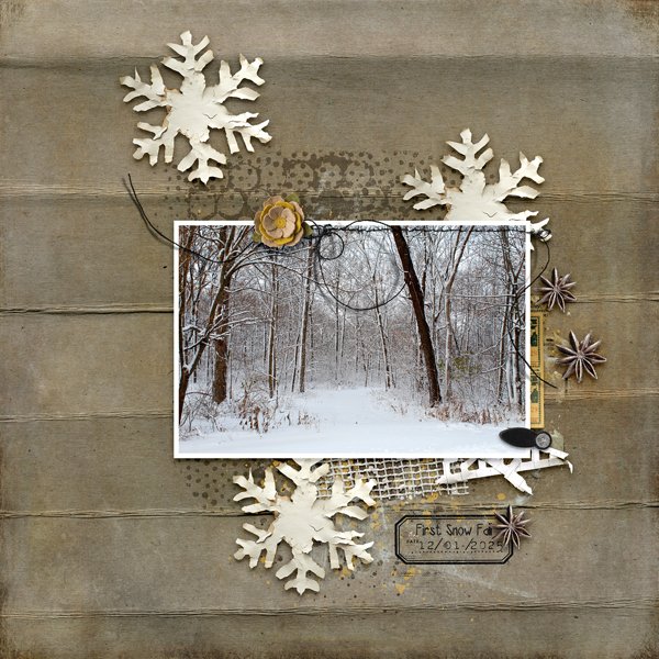 First Snow Fall