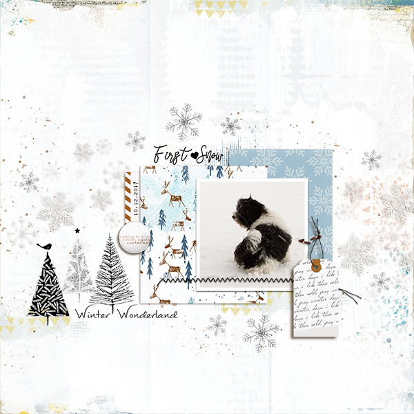 First Snow