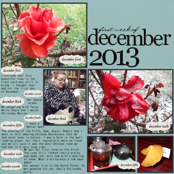 First week of December - MOC #21 - The Week