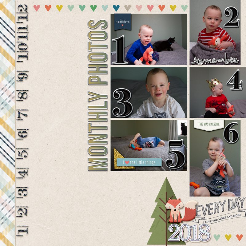 First6Months2018072018IC