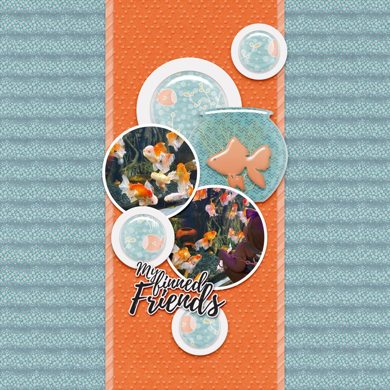 fishy friends