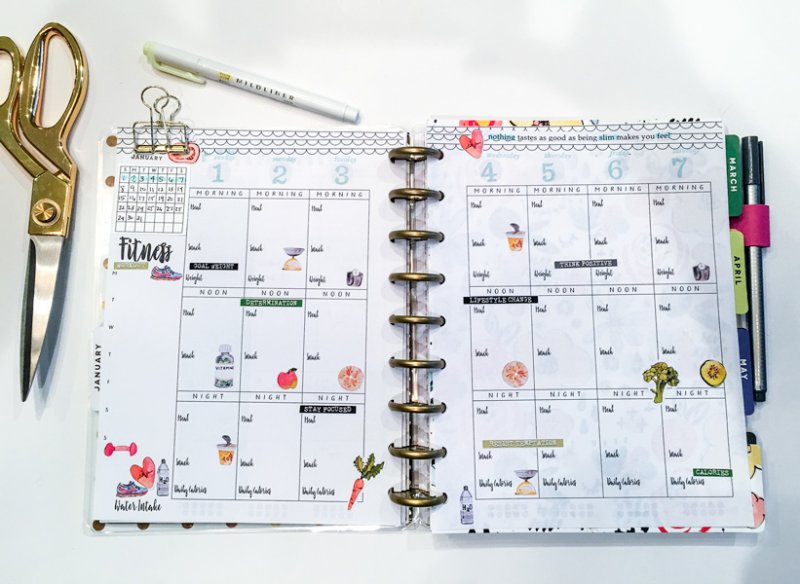 Fitness planner for 2017