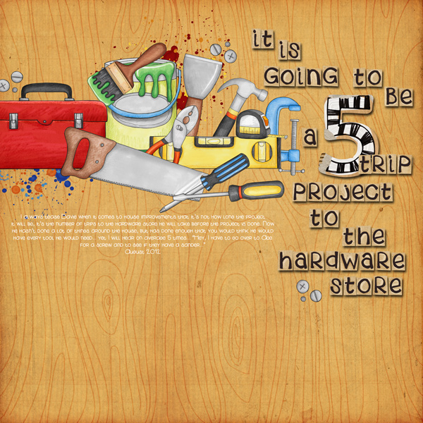 five trip project