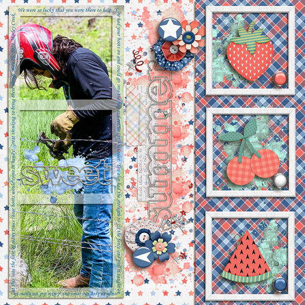 Fixing-Fence