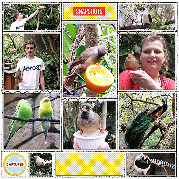 Fla. 2013 page 9