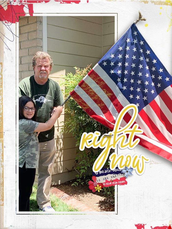 Flag Day 2020