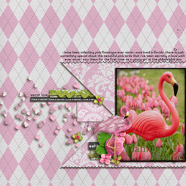 flamingo fanatic