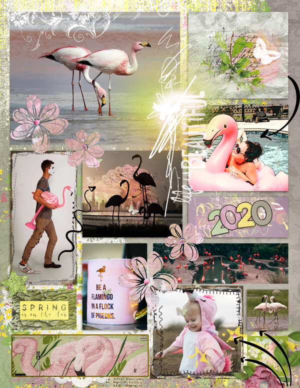 Flamingo Spring