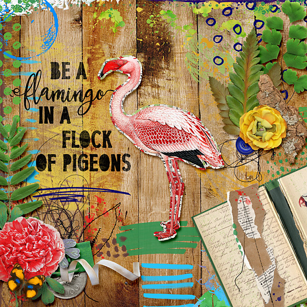 Flamingo
