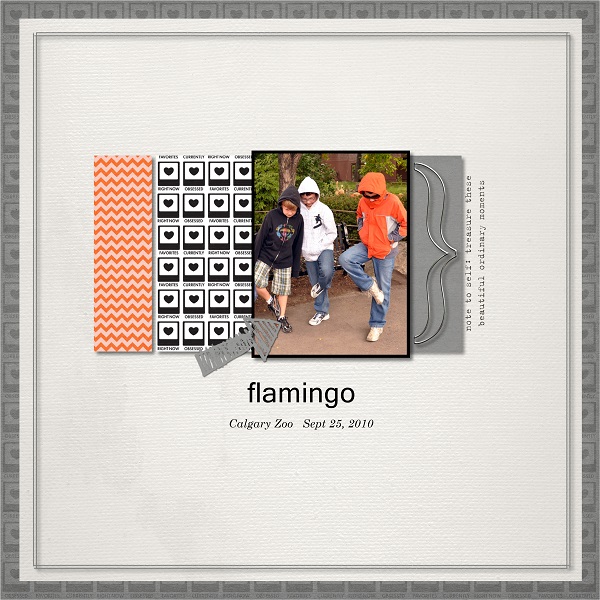 Flamingo