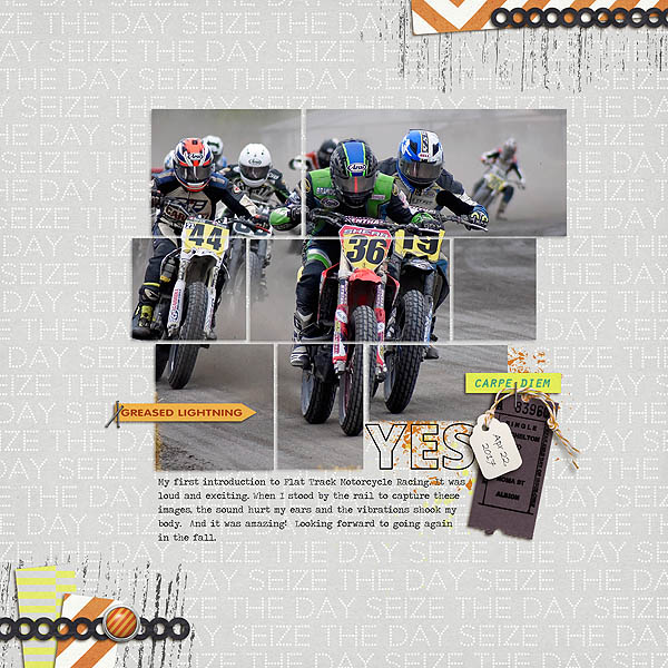 Flat Track Races