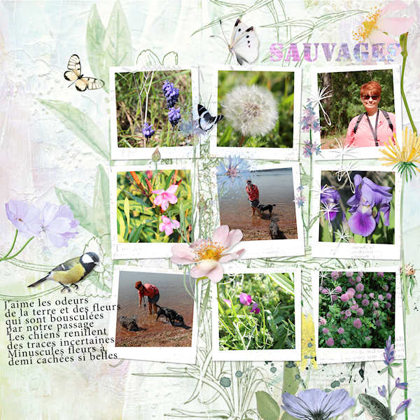 fleurs sauvages