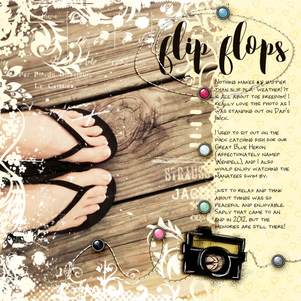 Flip Flops
