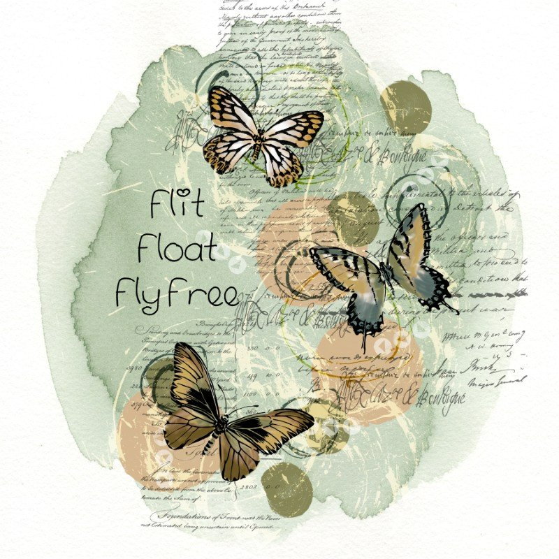 Flit, Float, Fly Free