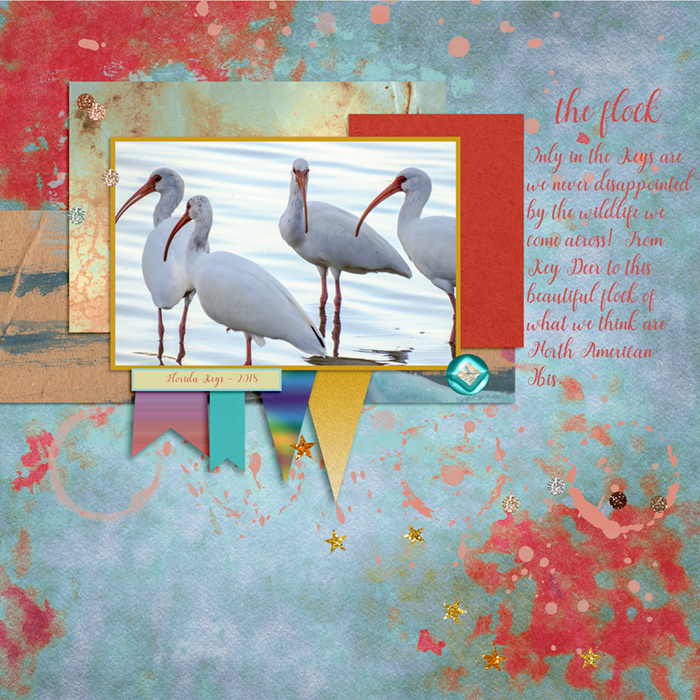 Flock-of-Ibis