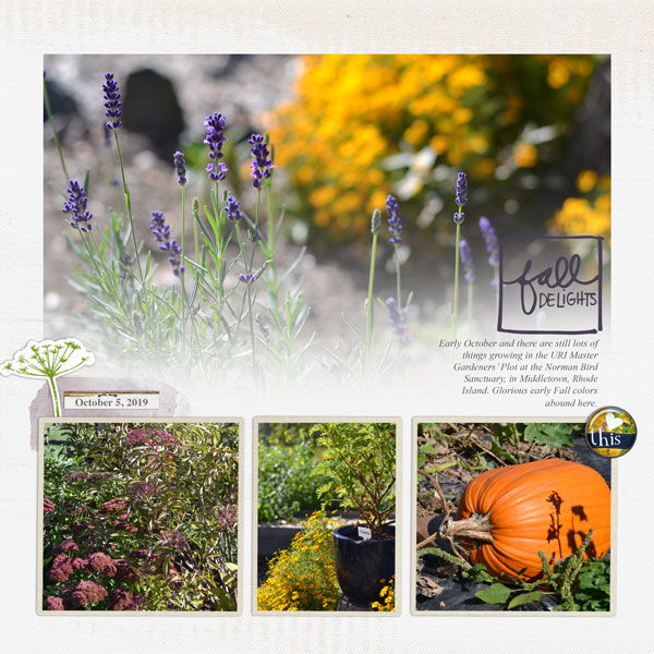 Flora and Fauna of Fall Oct 2019 Photography Challenge