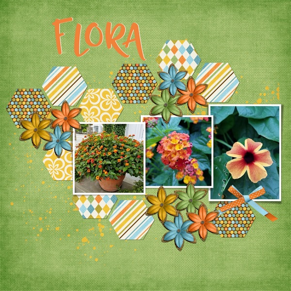 Flora