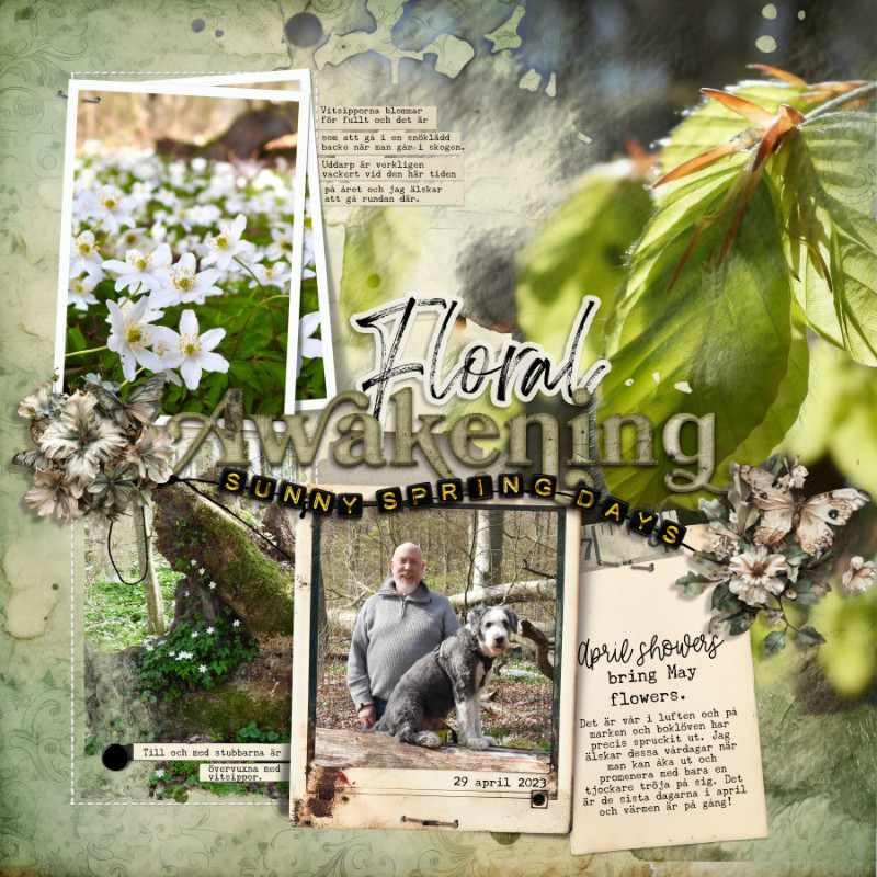 Floral Awakening