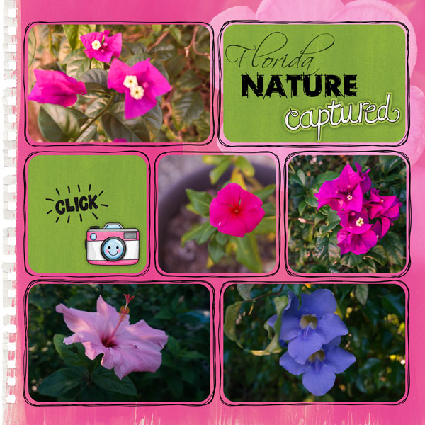 Florida Flowers