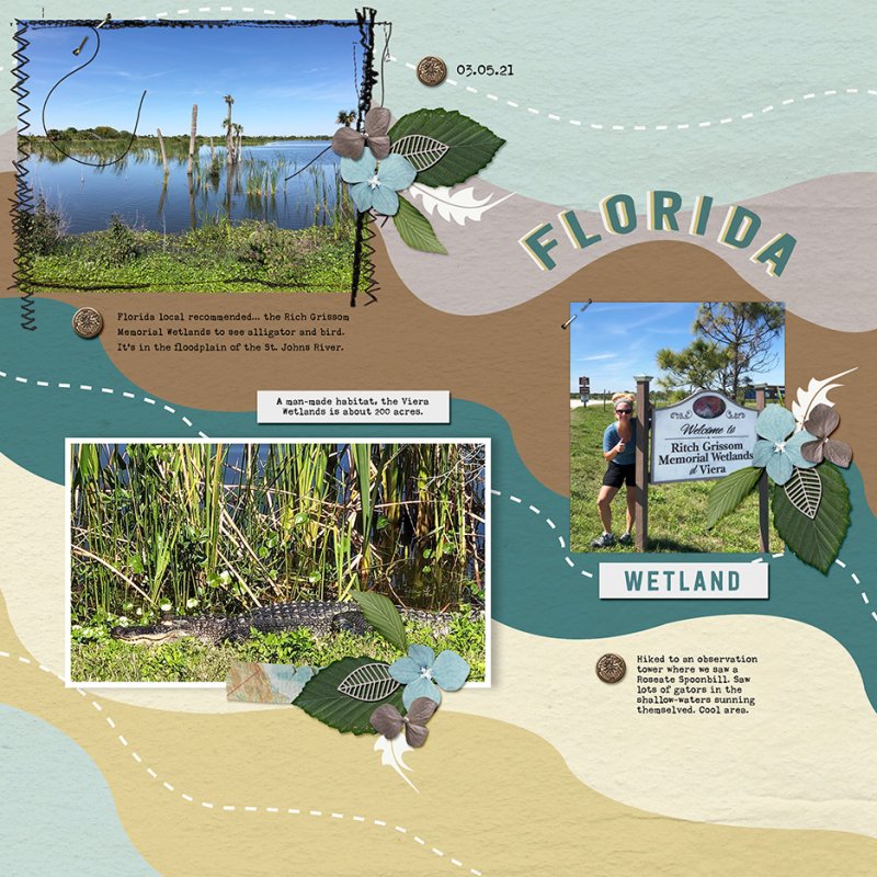 Florida Wetland