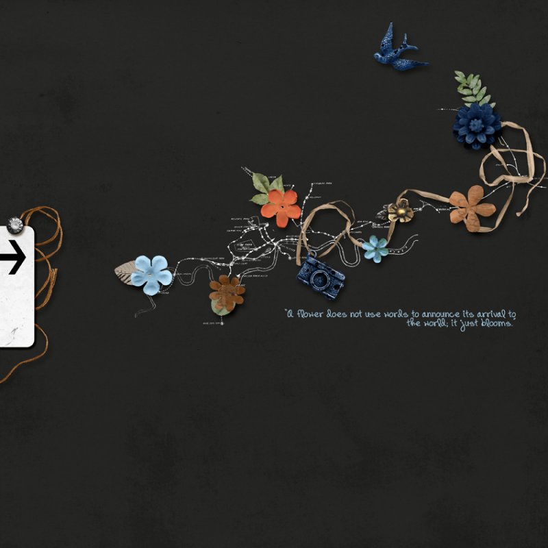 Flower bloom