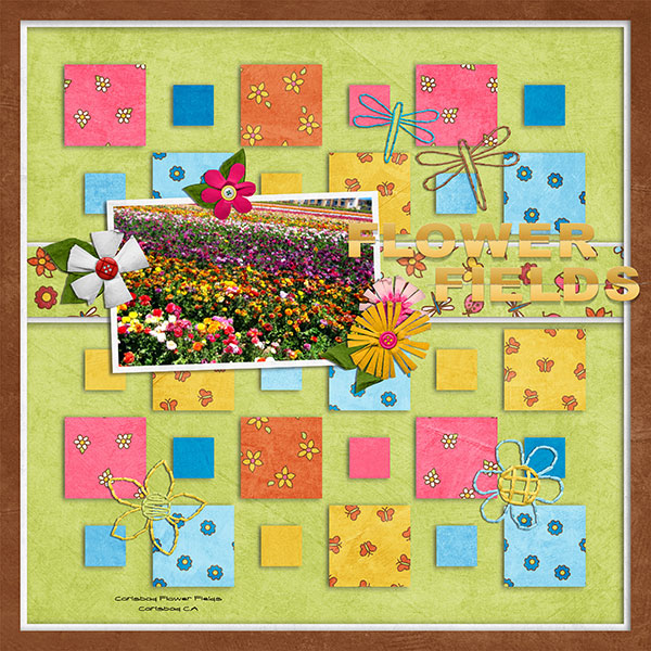 flower fields