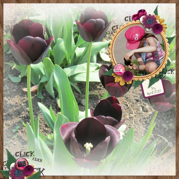Flower Photographer
