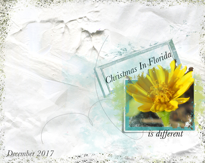 Flower-white-space
