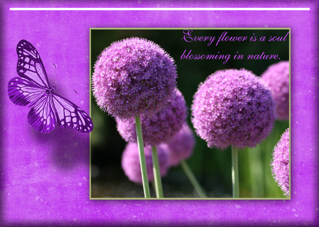 Flower