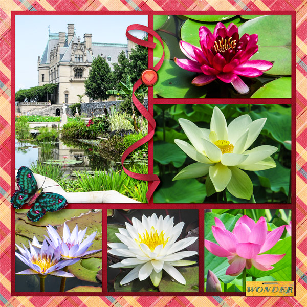 Flowers at the Biltmore
