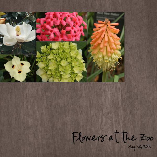 Flowers at the Zoo