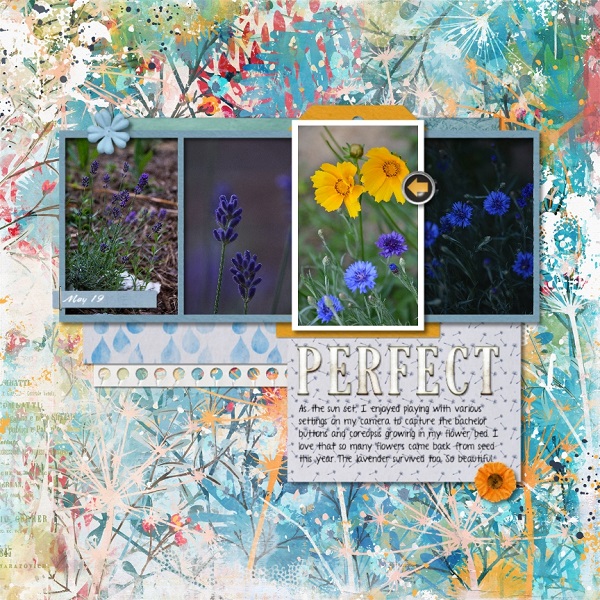 Flowers At Twilight