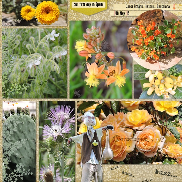 flowers - Historic Botanical Gardens of Barcelona
