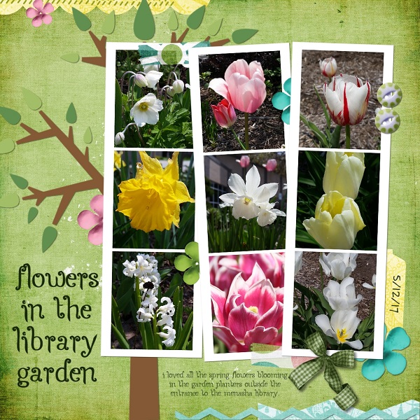 Flowers In The Library Garden