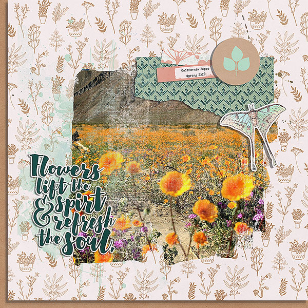 flowers lift the spirit