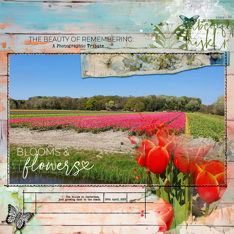 Flowers_22