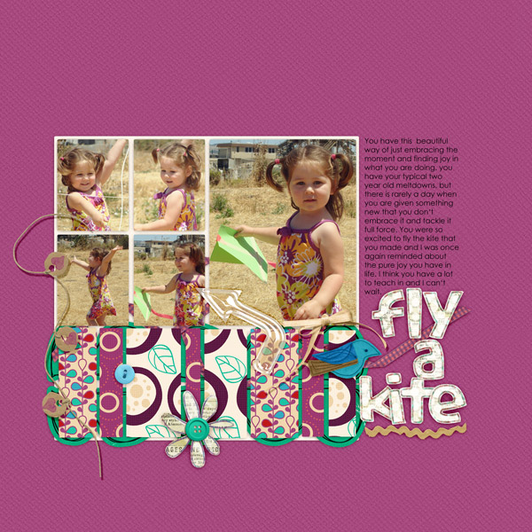 Fly A Kite
