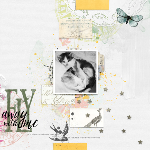Fly away with me