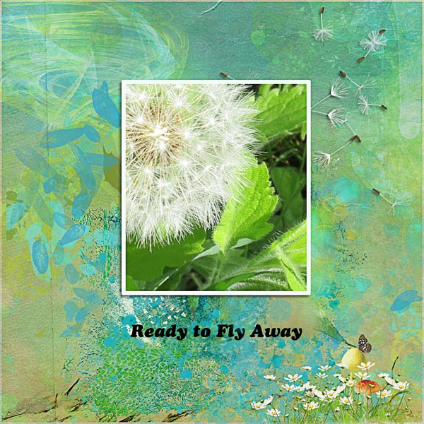 Fly Away