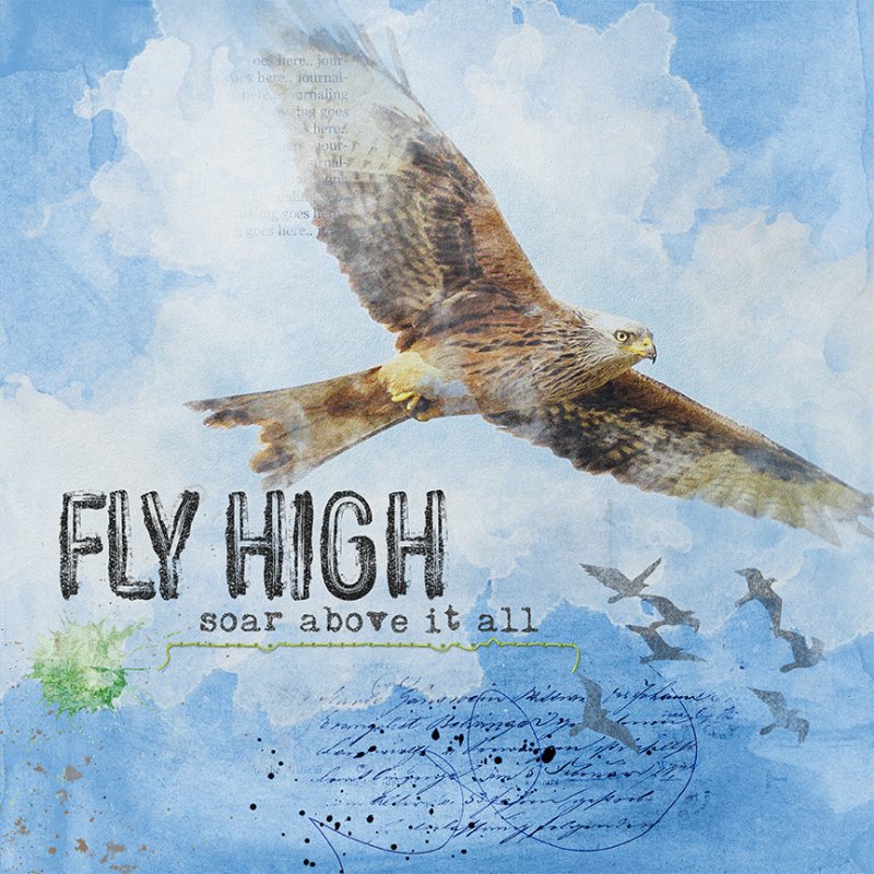Fly High