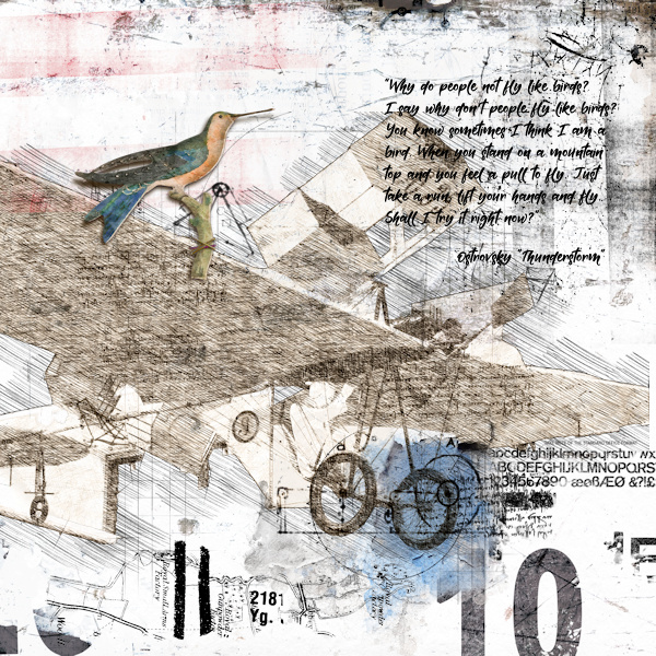 Fly Like Birds