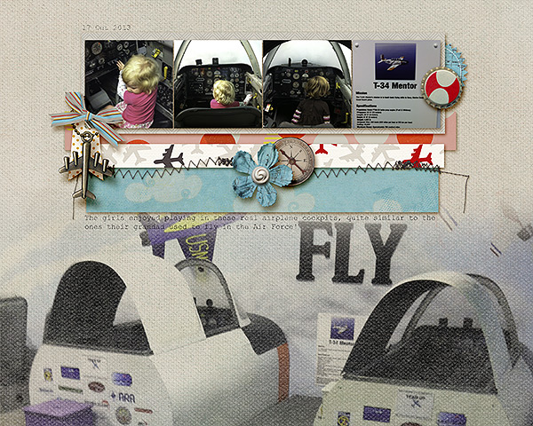 Fly