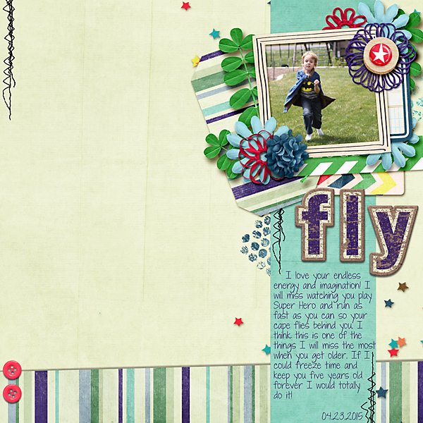 Fly