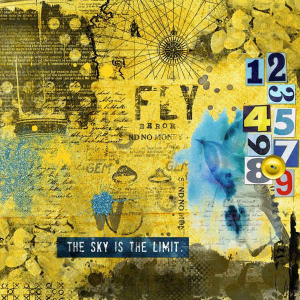 Fly
