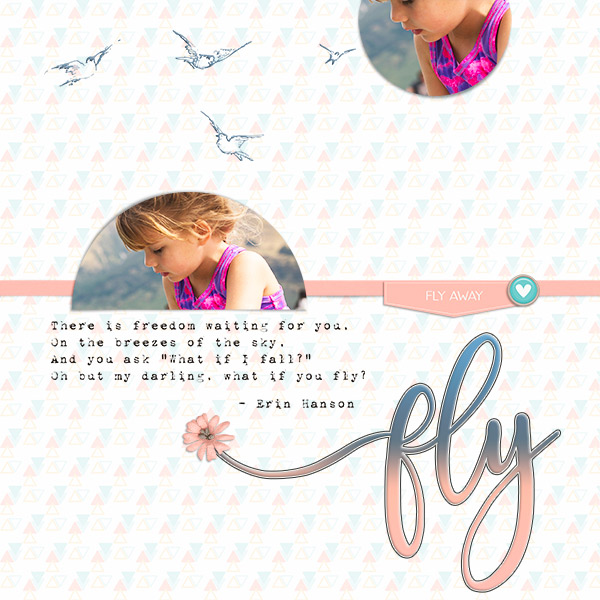 Fly