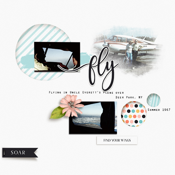 Fly
