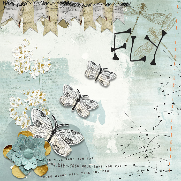 Fly