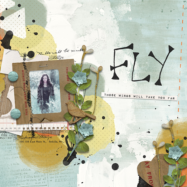 Fly