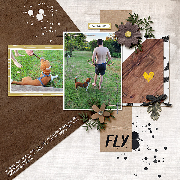 Fly